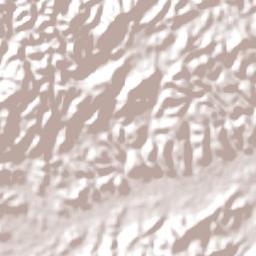 Colônia Leopoldina Terrain Map