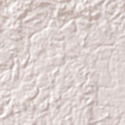 Sena Madureira Terrain Map