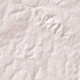 Coronel José Dias Terrain Map