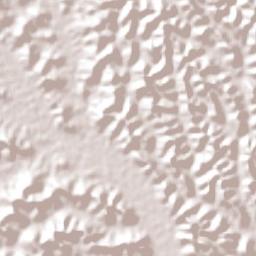 Porto Calvo Terrain Map