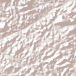 Joaquim Gomes Terrain Map