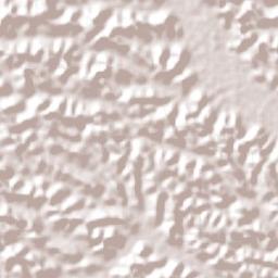 Porto de Pedras Terrain Map