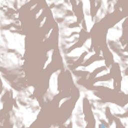 Asuncion Terrain Map