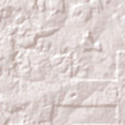 Porto Velho Terrain Map