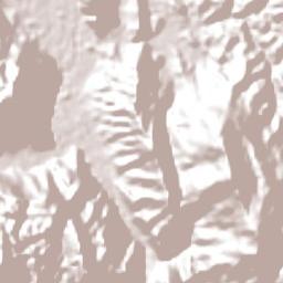 Tingo María Terrain Map