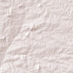 Senador Rui Palmeira Terrain Map