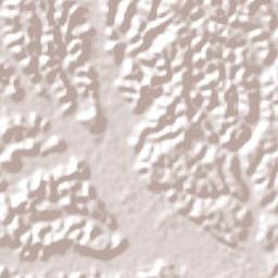 São Luís do Quitunde Terrain Map