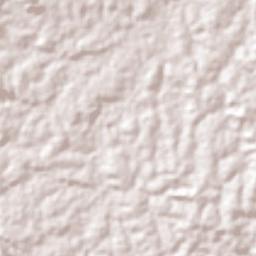 Cotriguaçu Terrain Map