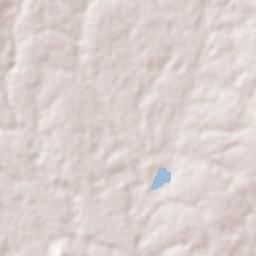 Campo Alegre de Lourdes Terrain Map