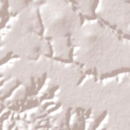 Limoeiro de Anadia Terrain Map
