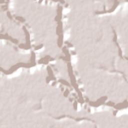 Campo Alegre Terrain Map