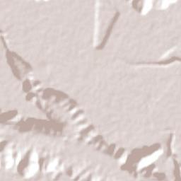 São Miguel dos Campos Terrain Map