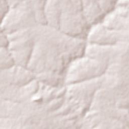 Morro Cabeça no Tempo Terrain Map