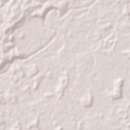 Rio Branco Terrain Map