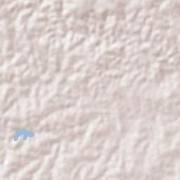 Monte Alegre de Sergipe Terrain Map