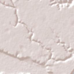 Coruripe Terrain Map