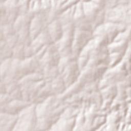 Gracho Cardoso Terrain Map
