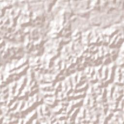 Purus Terrain Map
