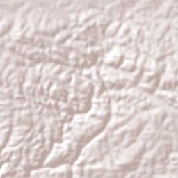 Coronel João Sá Terrain Map