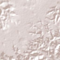 Neópolis Terrain Map