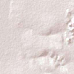 Mwense Terrain Map
