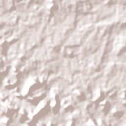 Campo Novo de Rondônia Terrain Map