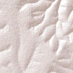 Haut Katanga Terrain Map