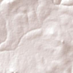 Maposeni Terrain Map
