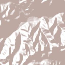 Paucartambo Terrain Map
