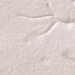Nanhyanga Terrain Map