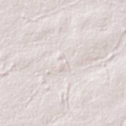 Porto Alegre do Norte Terrain Map