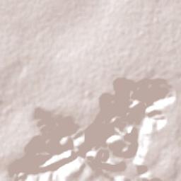 Mahuta Terrain Map