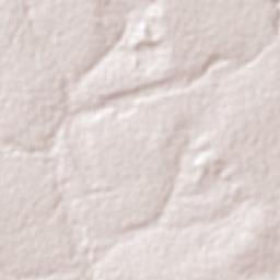 Marcelândia Terrain Map