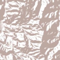 Chanchamayo Terrain Map