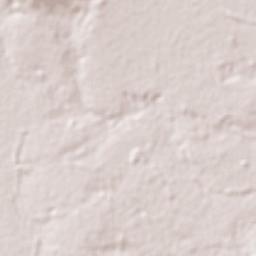 Brejinho de Nazaré Terrain Map