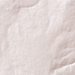 Várzea Nova Terrain Map