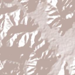 Satipo Terrain Map