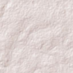 Guajará-Mirim Terrain Map