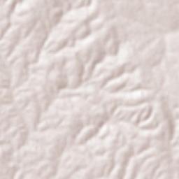 Retirolândia Terrain Map