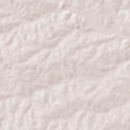 Nova Fátima Terrain Map