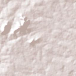 Serrinha Terrain Map