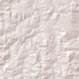 Rolim de Moura Terrain Map