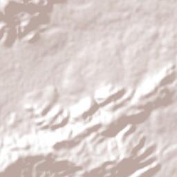 Riachão das Neves Terrain Map