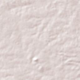Riachão do Jacuípe Terrain Map