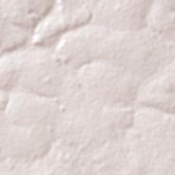 Cariri do Tocantins Terrain Map