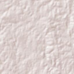 Pintadas Terrain Map
