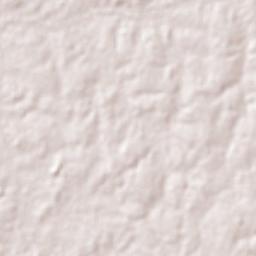 Conceição do Tocantins Terrain Map