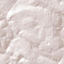 Kansanshi Terrain Map