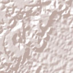 Amélia Rodrigues Terrain Map