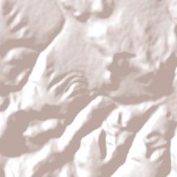 Palmeiras Terrain Map